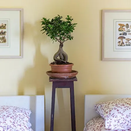 Hébergement de vacances Orielda