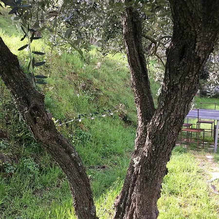 Hébergement de vacances Orielda Montecatini Val di Cecina